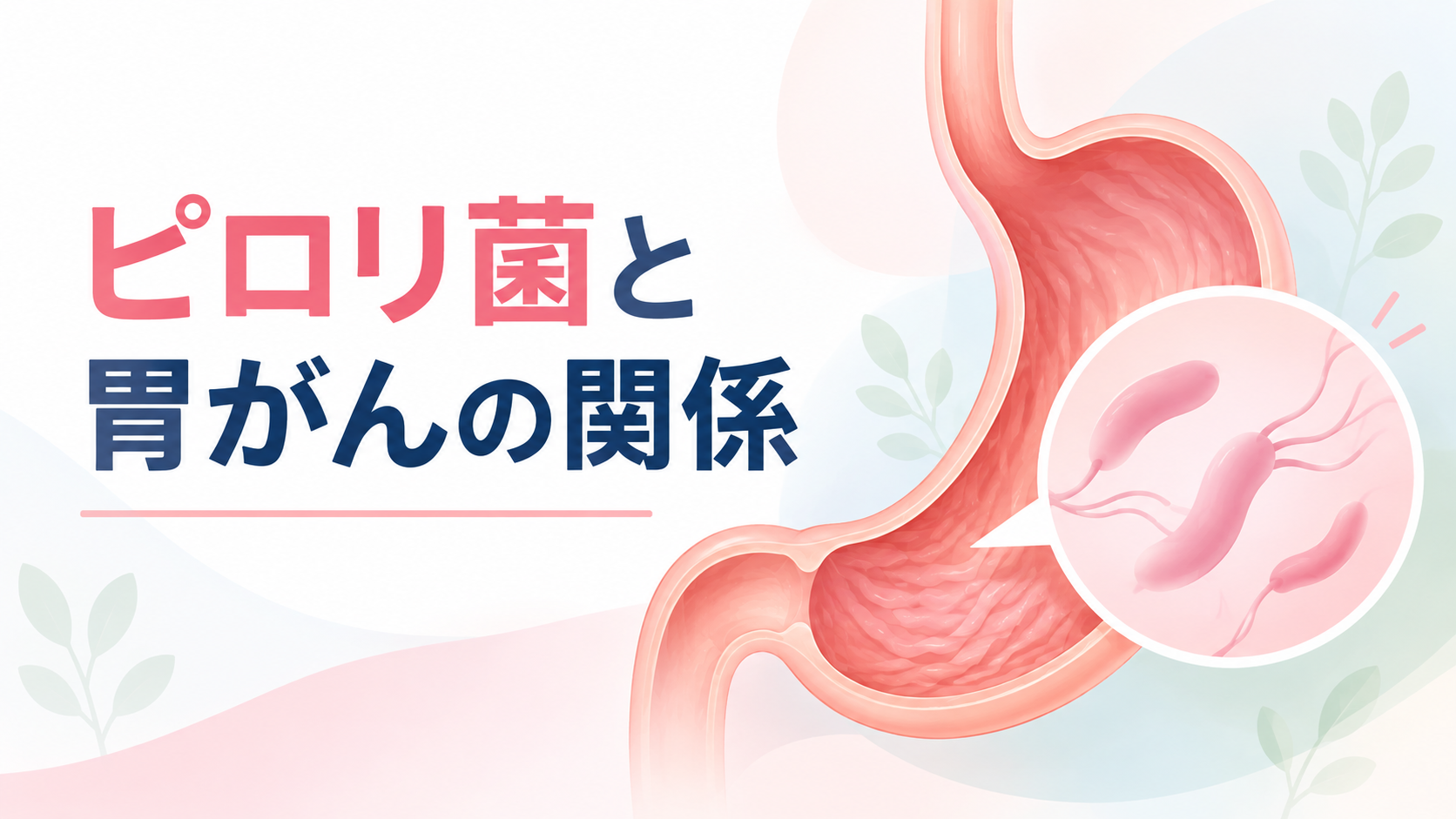 ピロリ菌と胃がんの関係について~除菌すれば胃がんにならない?~